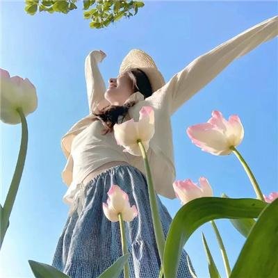 野雏菊